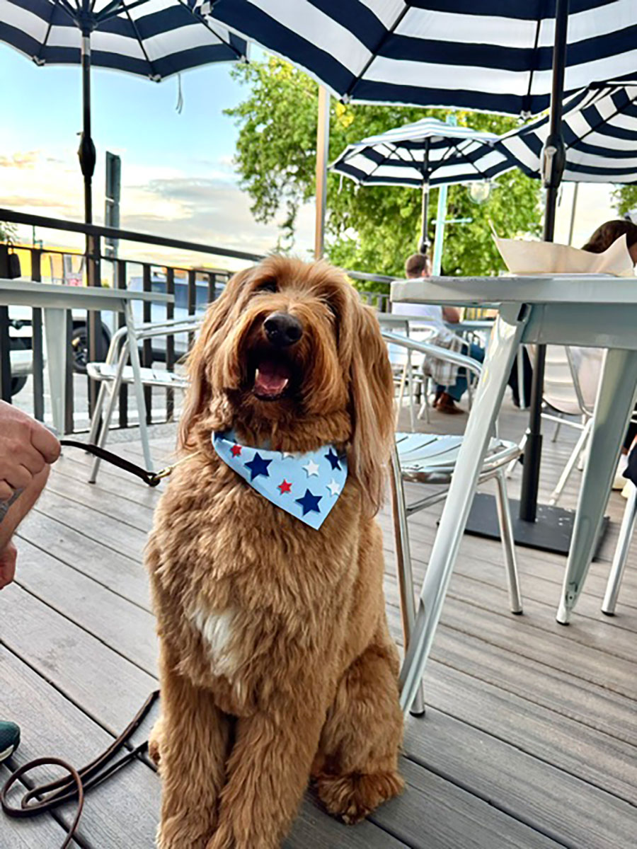 The Slip Restaurant, Kirkland WA Casual Dockside Dining